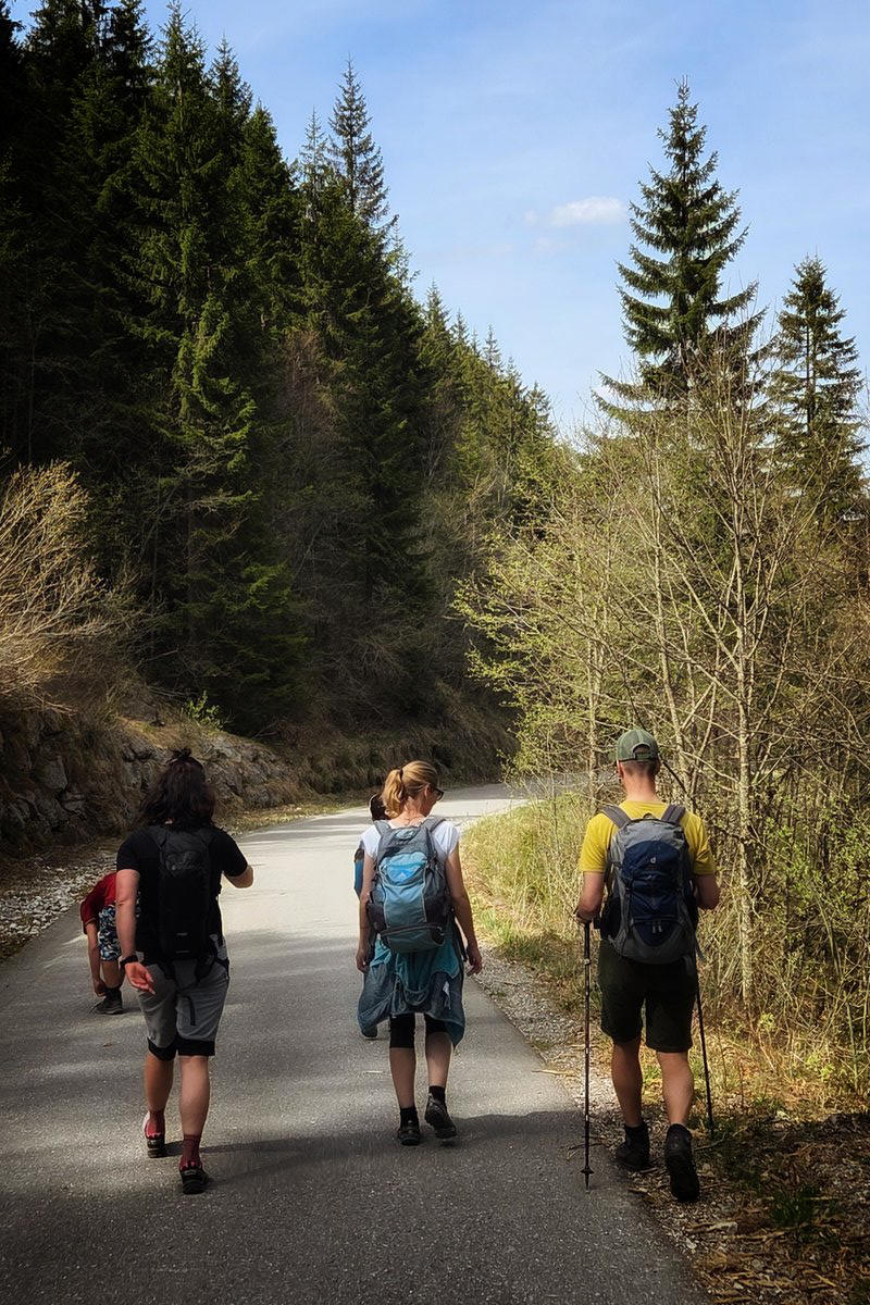 Wanderung Rohrkopfh�tte in Schwangau mit Sandra Bischof und Mathias Starzer - bald wieder im Tal bei Schwangau
